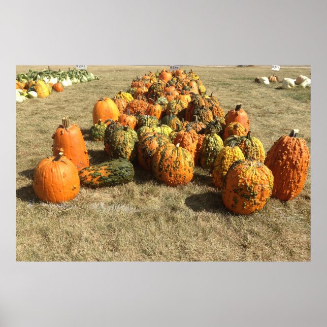 Fall Pumpkin Sale Poster (Front)