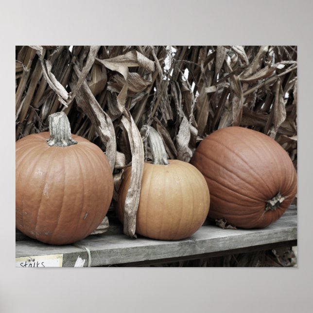 Fall Pumpkins And Corn Stalks Poster (Front)