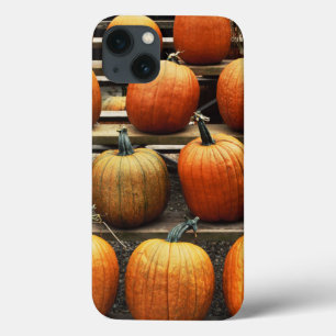 Fall pumpkins iPhone 13 case