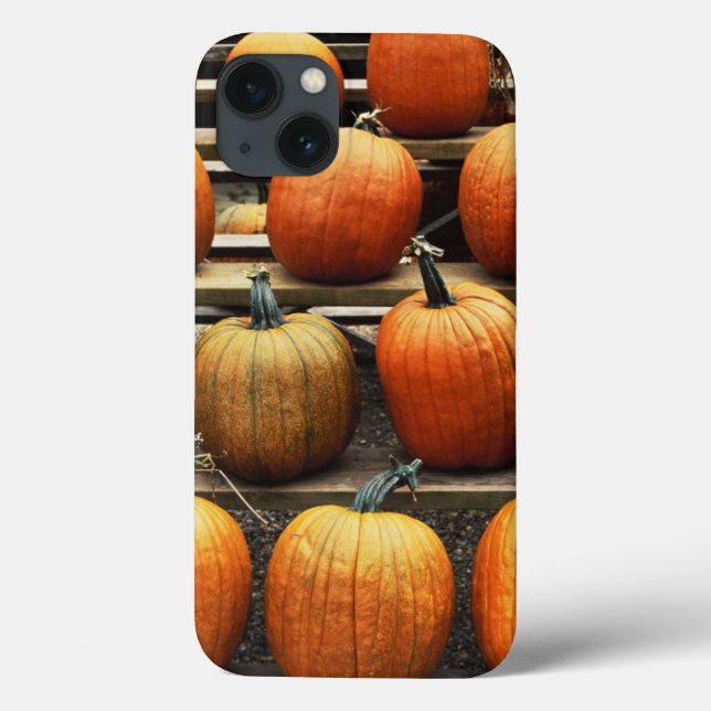 Fall pumpkins Case-Mate iPhone case (Back)
