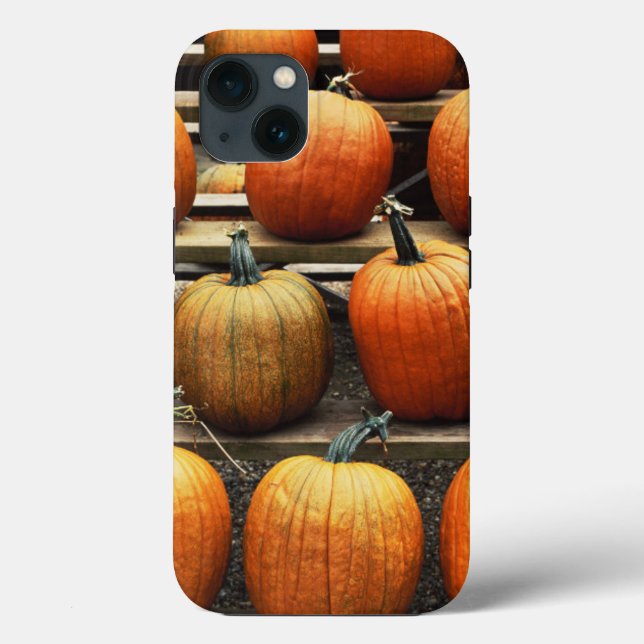 Fall pumpkins Case-Mate iPhone case (Back)