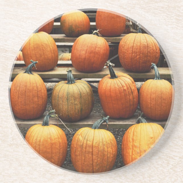 Fall pumpkins coaster (Front)