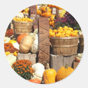 Fall Pumpkins Glossy Stickers