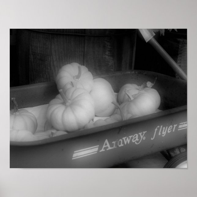 Fall Pumpkins In Wagon Black And White Poster (Front)