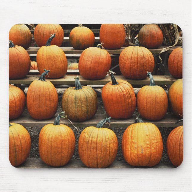 Fall pumpkins mouse pad (Front)