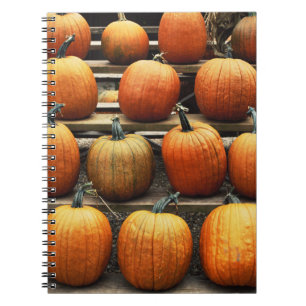 Fall pumpkins notebook