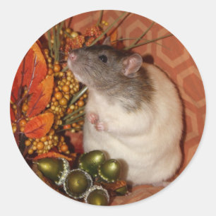 Fall Rat Stickers