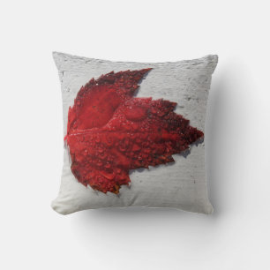 Fall Red Maple Leaf on White Wood Cushion