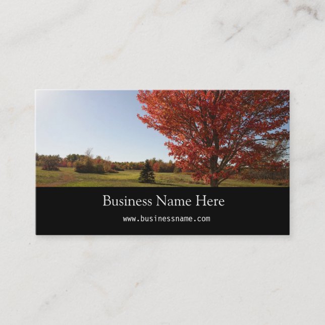 Fall red maple tree landscape business card (Front)