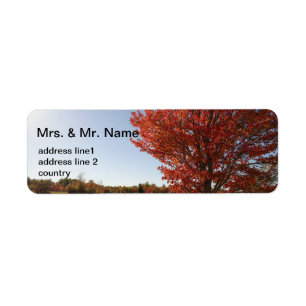 Fall red maple tree return address label