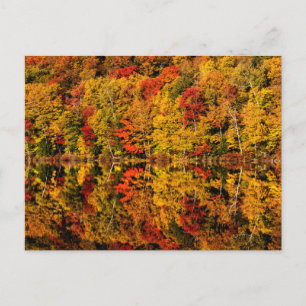 Fall Reflection on Russell Pond New Hampshire Postcard