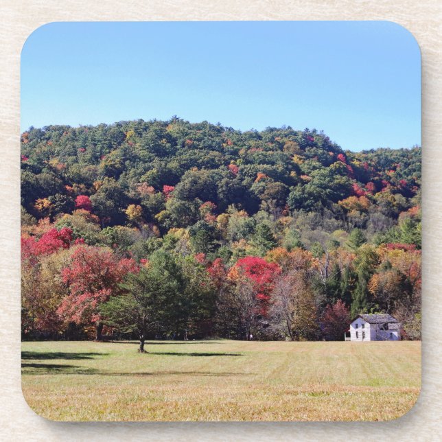 Fall Scene Coaster (Front)