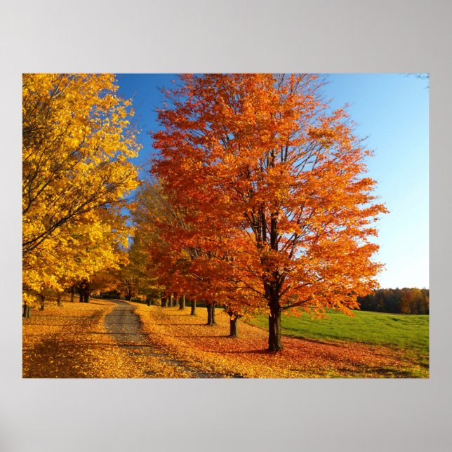 Fall Scene In Vermont Poster (Front)