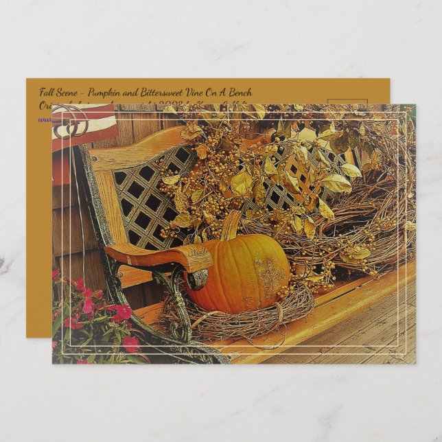 Fall Scene / Pumpkin & Bittersweet 5 x 7 Postcard (Front/Back)