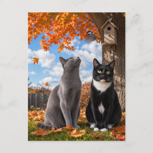 Fall Season Cats Sitting Under Maple Tree  Postcard (Front)
