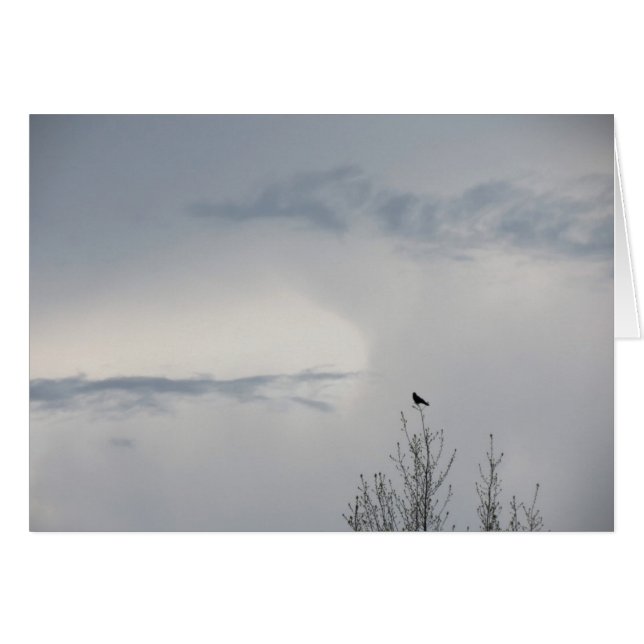 Fall Sky  2014 (Front Horizontal)