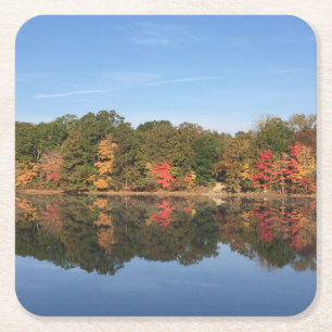 Fall Splendour Coasters