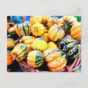 Fall Squash Postcard