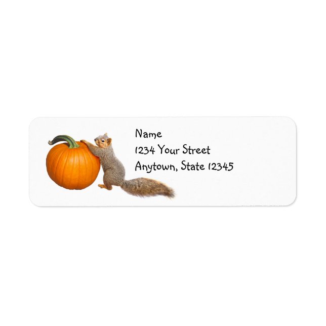 Fall Squirrel Pumpkin Address Labels (Front)