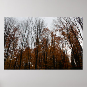 Fall Standing Tall Poster