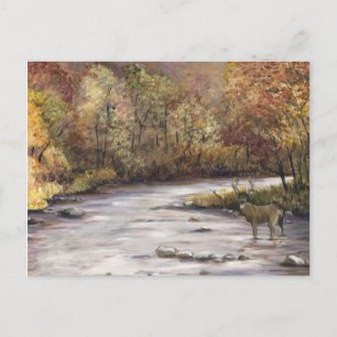 Fall Stream Art Postcard