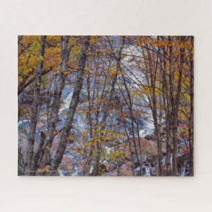 Fall Stream Puzzle