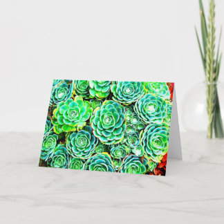 Fall Succulent Note Card
