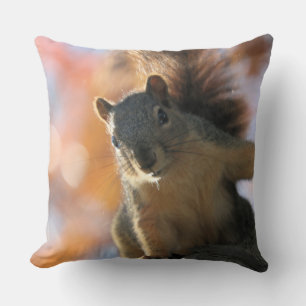 Fall sun cushion
