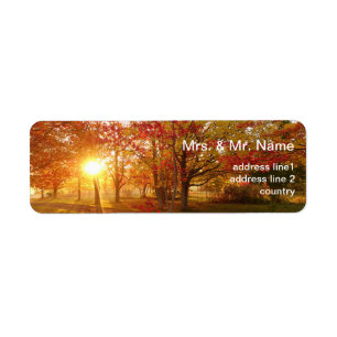 Fall sunlight through autumn trees return address label