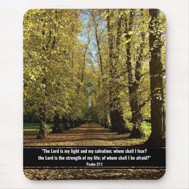 Fall, sunlit  Wodland Scene Mouse Pad (Front)