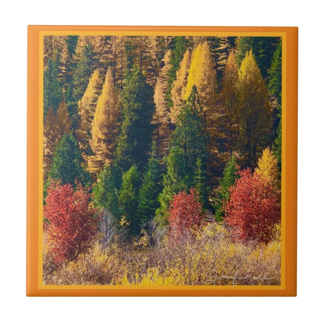 Fall Tamarack Ceramic Tile (Front)