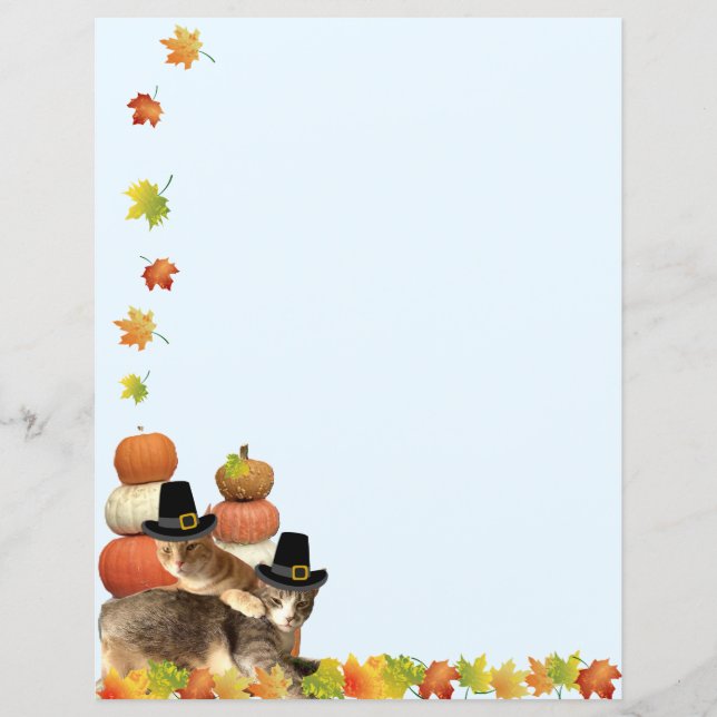 Fall / Thanksgiving Cat Stationary (Front)