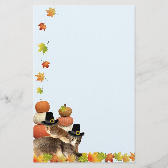 Fall / Thanksgiving Cat Stationary Stationery (Front)