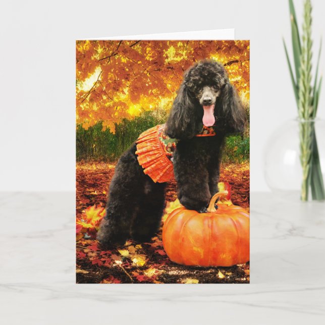 Fall Thanksgiving - Gidget - Poodle Holiday Card (Front)