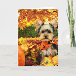 Fall Thanksgiving - Max - Yorkie Holiday Card