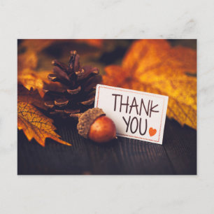 Fall Thanksgiving Photography Pumpkin Photography Postcard