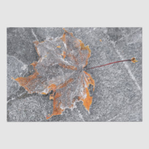 Fall Themed Maple Leaf Orange Gray Autumn Tissue Paper