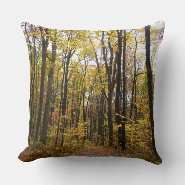 Fall Trail and Golden Leaves at Laurel Hill Park Cushion (Front)