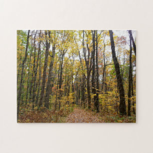 Fall Trail and Golden Leaves at Laurel Hill Park Jigsaw Puzzle