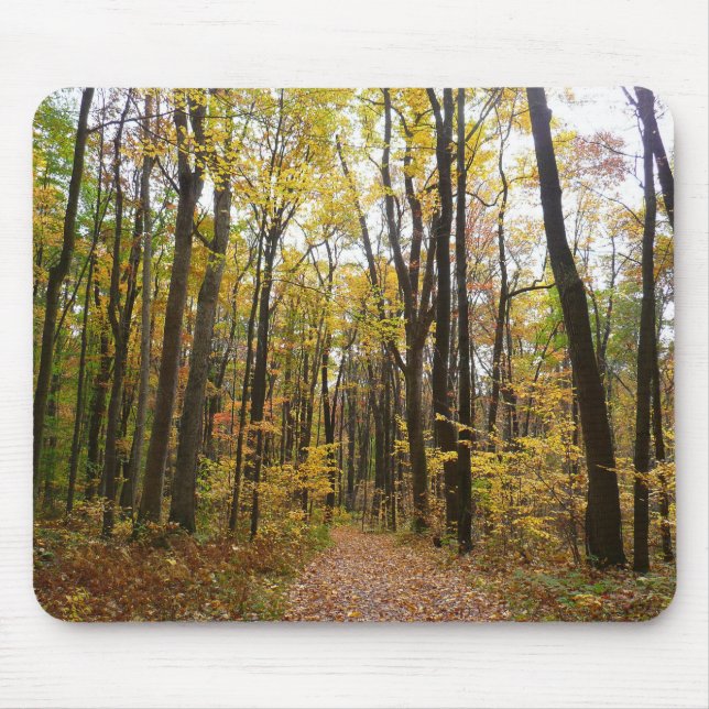 Fall Trail and Golden Leaves at Laurel Hill Park Mouse Pad (Front)