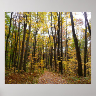 Fall Trail and Golden Leaves at Laurel Hill Park Poster