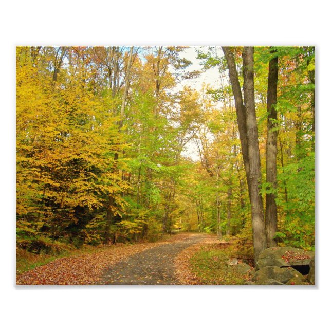 Fall Trail Photo Print (Front)