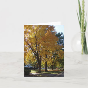 Fall Tree - "Our Street"  Note Card
