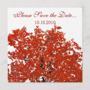 Fall Tree Save-the-date Save The Date
