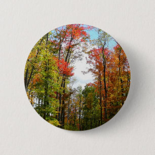 Fall Trees and Blue Sky Autumn Nature Photography 6 Cm Round Badge