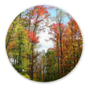 Fall Trees and Blue Sky Autumn Nature Photography Ceramic Knob