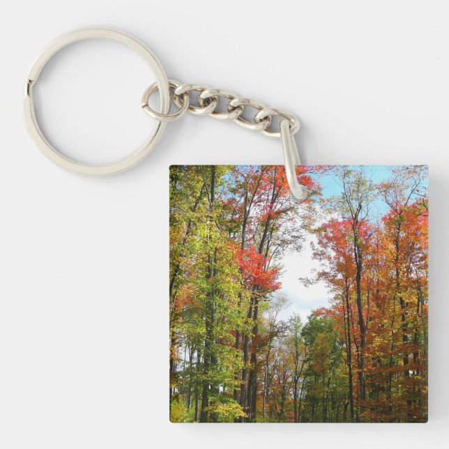 Fall Trees and Blue Sky Autumn Nature Photography Key Ring (Front)