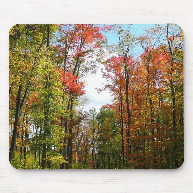 Fall Trees and Blue Sky Autumn Nature Photography Mouse Pad (Front)
