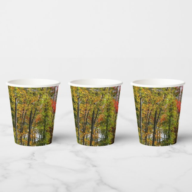 Fall Trees and Blue Sky Autumn Nature Photography Paper Cups (Multi)