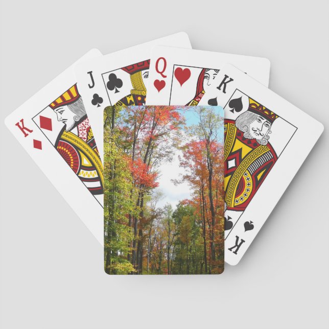 Fall Trees and Blue Sky Autumn Nature Photography Playing Cards (Back)